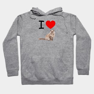 I HEART  PERSIAN CAT Hoodie